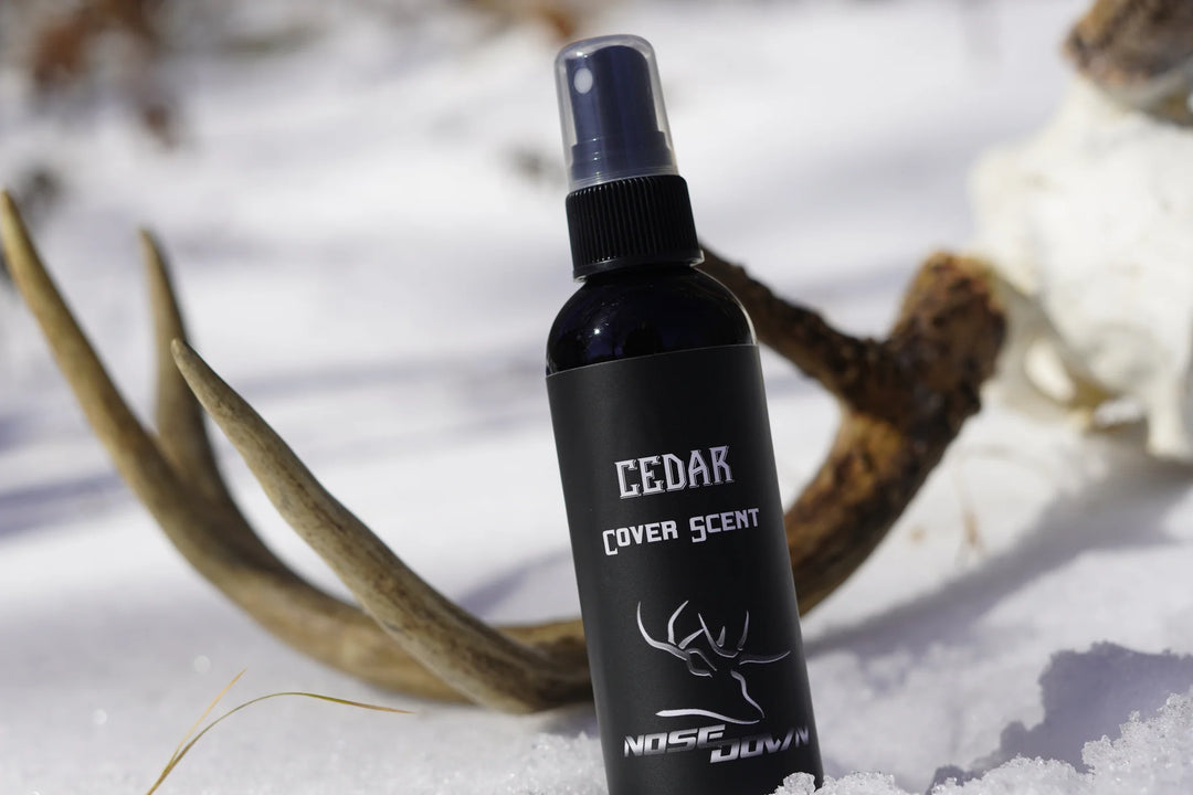 Cedar Cover Scent