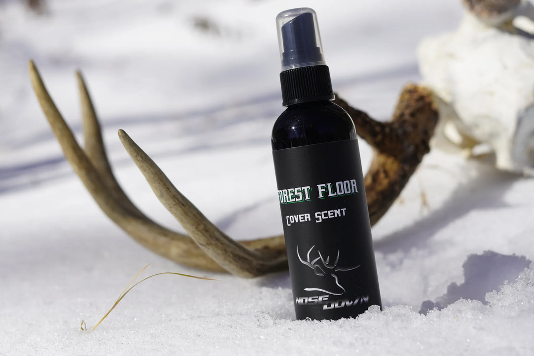 Forest Floor Cover Scent