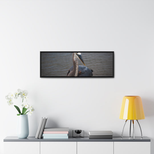 Great Blue Heron - Gallery Canvas Wraps, Horizontal Frame