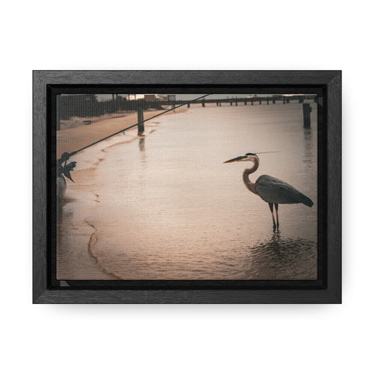 Great Blue Heron - Gallery Canvas Wraps, Horizontal Frame