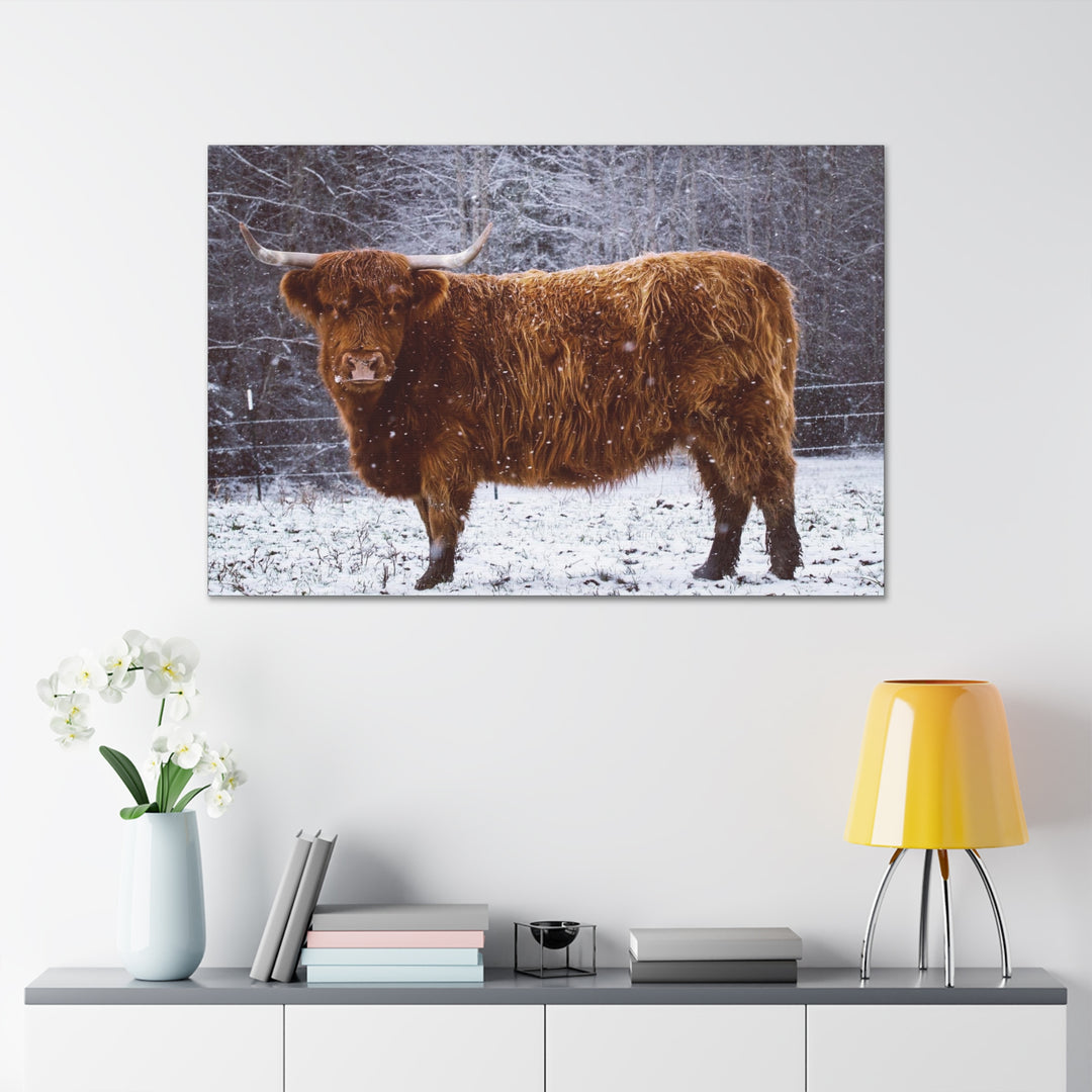 The Ruby Collection - Canvas Gallery Wraps