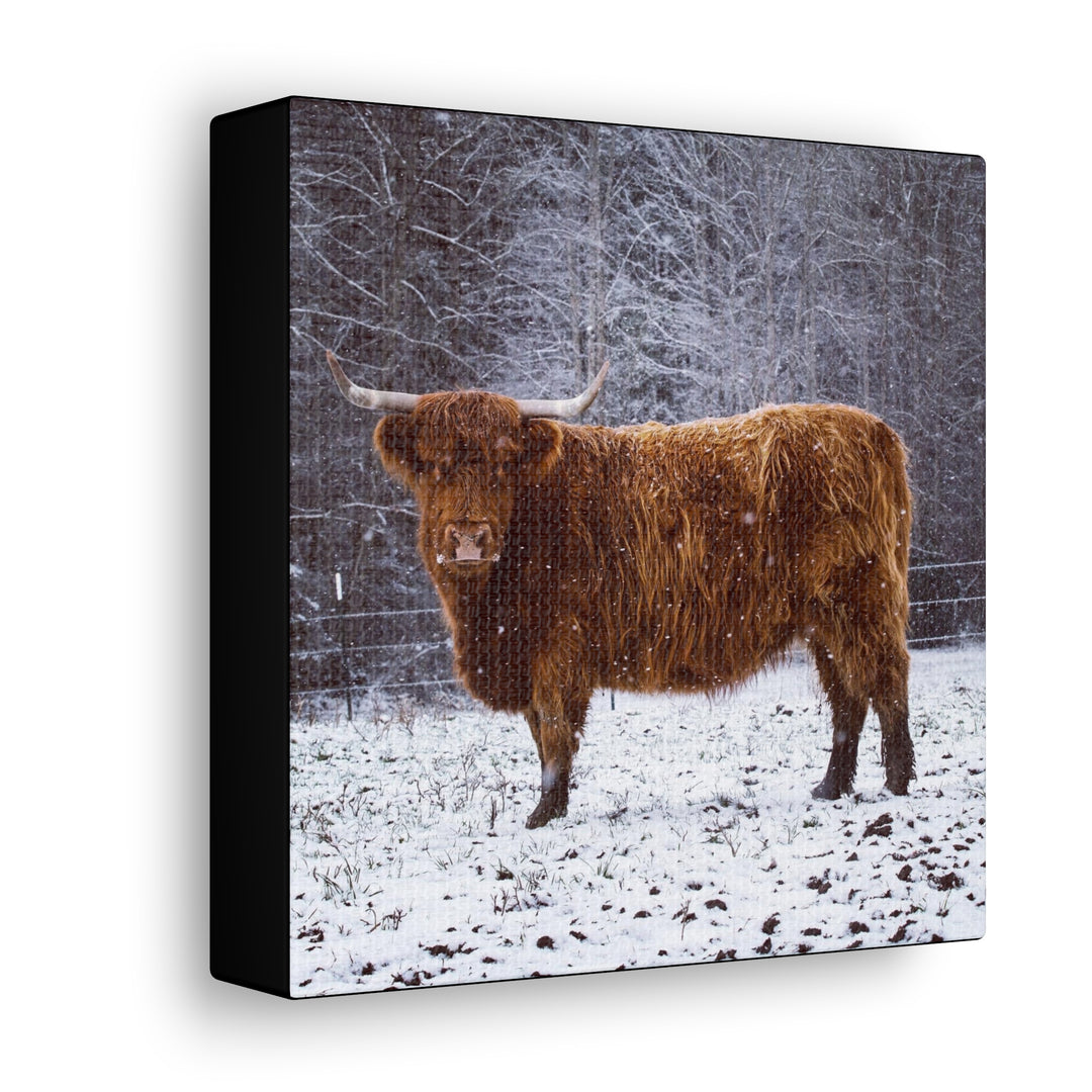 The Ruby Collection - Canvas Gallery Wraps