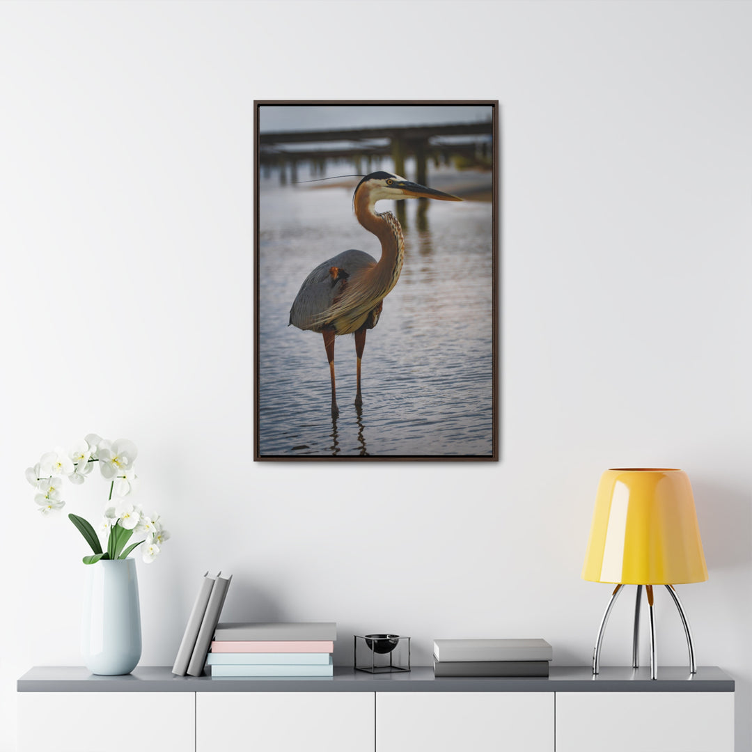 Great Blue Heron - Gallery Canvas Wraps, Vertical Frame