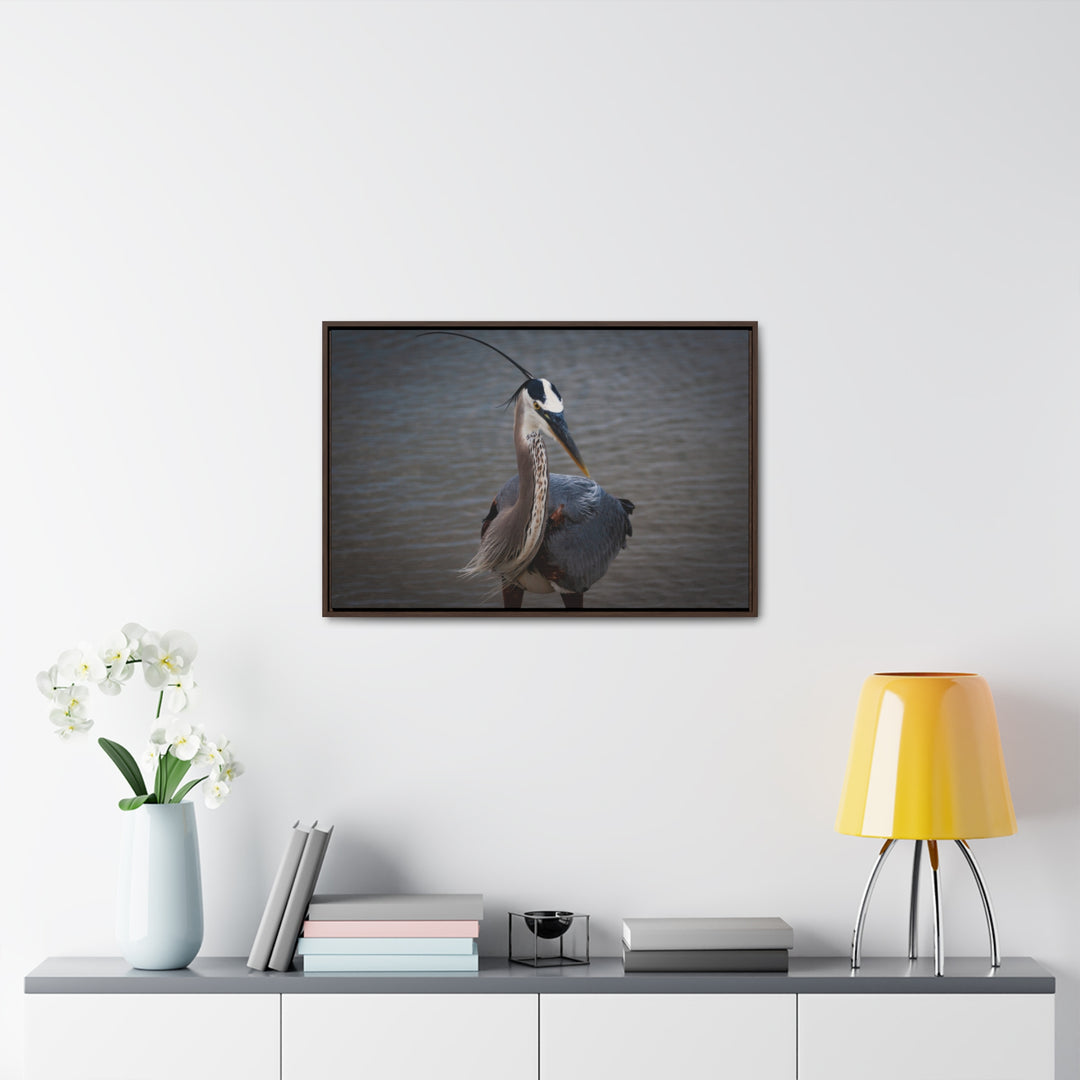 Great Blue Heron - Gallery Canvas Wraps, Horizontal Frame