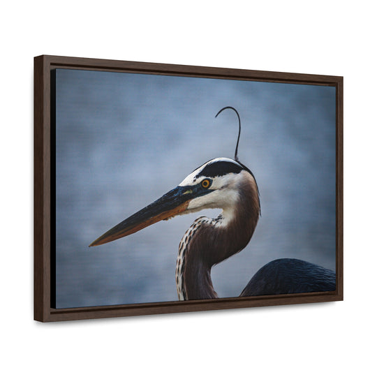 Great Blue Heron - Gallery Canvas Wraps, Horizontal Frame