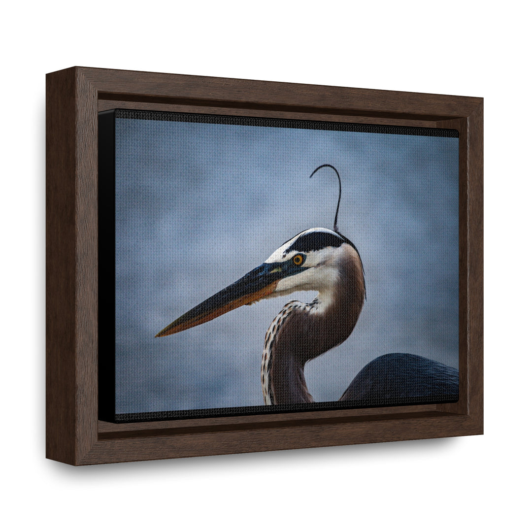 Great Blue Heron - Gallery Canvas Wraps, Horizontal Frame