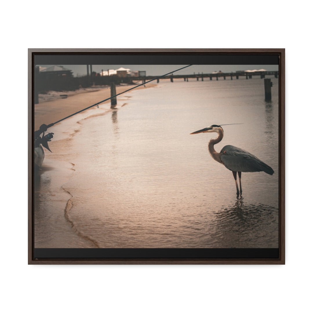 Great Blue Heron - Gallery Canvas Wraps, Horizontal Frame