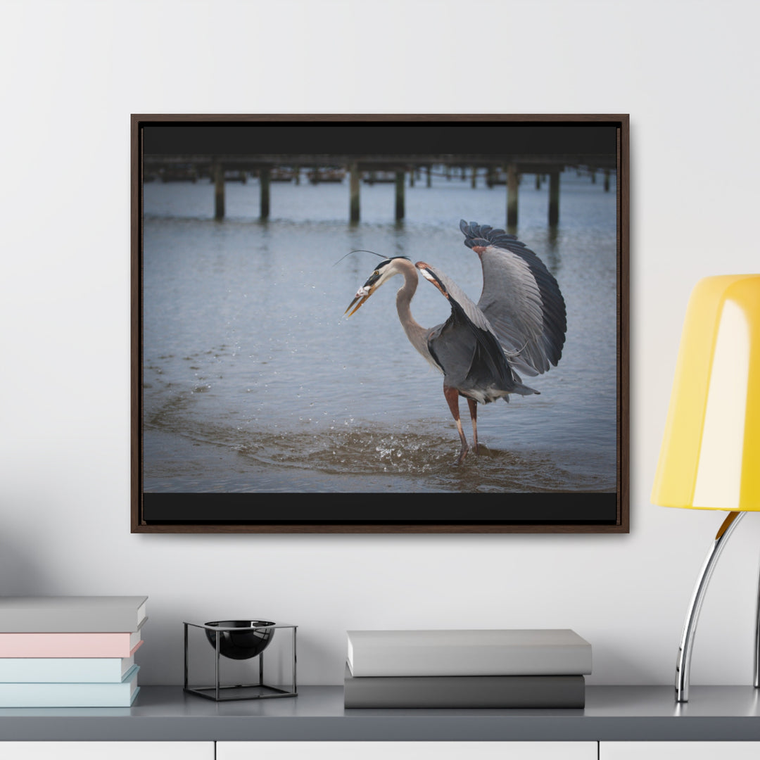 Great Blue Heron - Gallery Canvas Wraps, Horizontal Frame