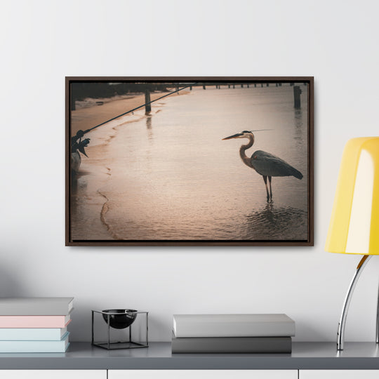 Great Blue Heron - Gallery Canvas Wraps, Horizontal Frame