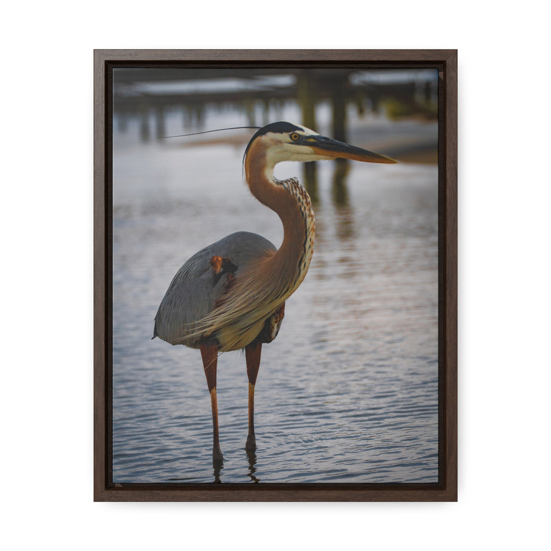 Great Blue Heron - Gallery Canvas Wraps, Vertical Frame