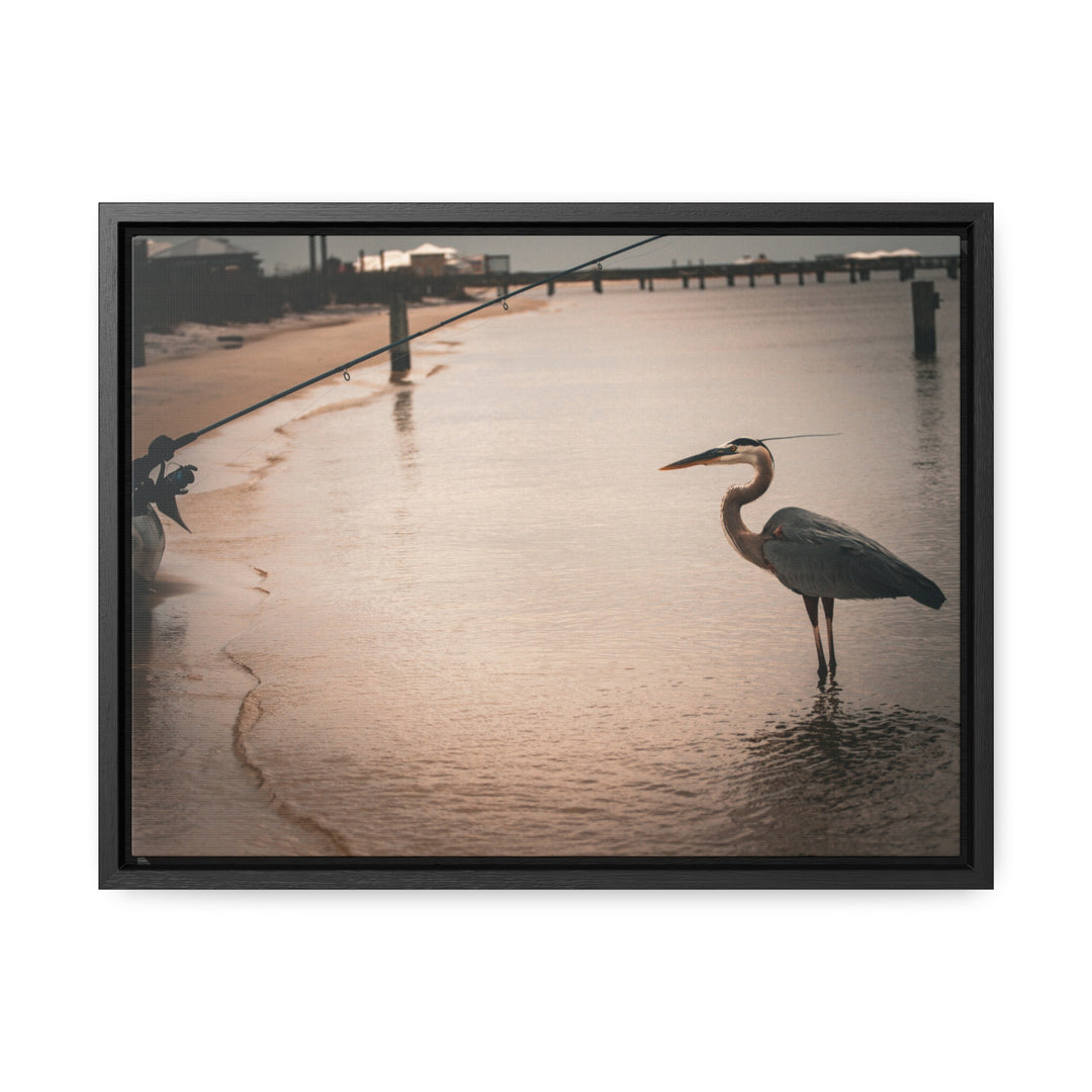 Great Blue Heron - Gallery Canvas Wraps, Horizontal Frame