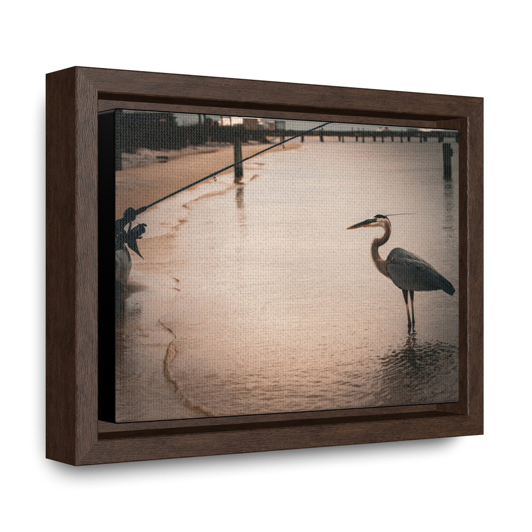 Great Blue Heron - Gallery Canvas Wraps, Horizontal Frame