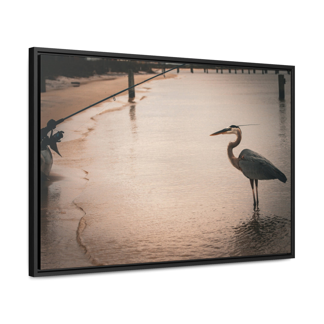 Great Blue Heron - Gallery Canvas Wraps, Horizontal Frame