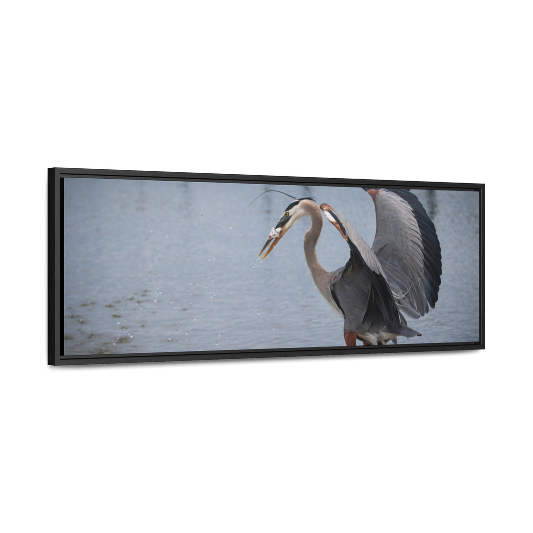 Great Blue Heron - Gallery Canvas Wraps, Horizontal Frame