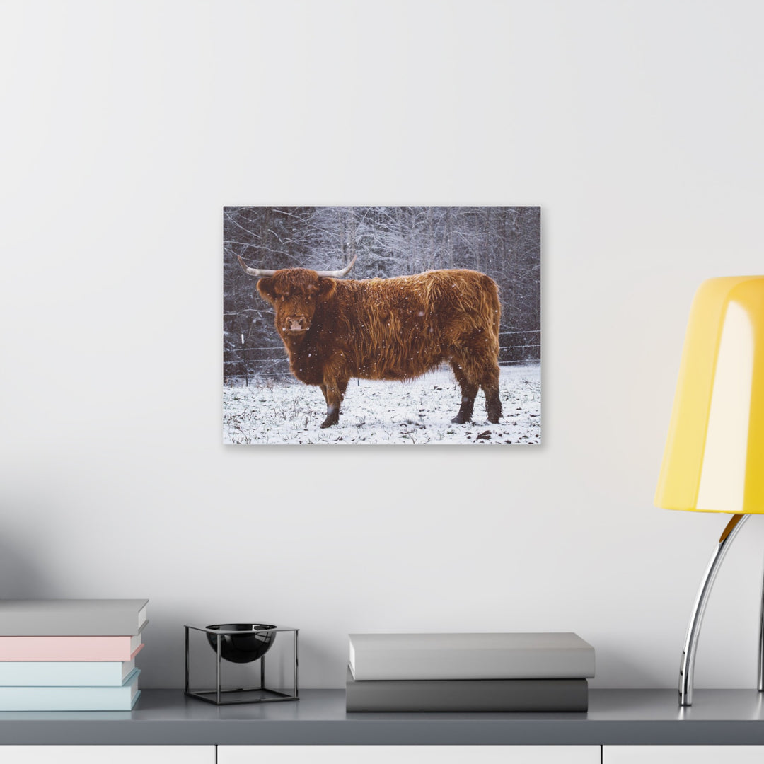 The Ruby Collection - Highland on Classic Stretched Canvas