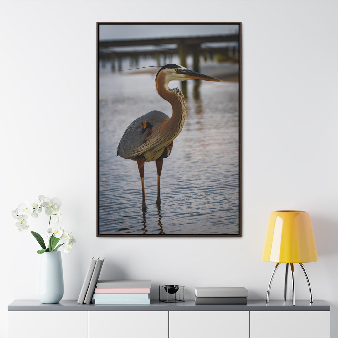 Great Blue Heron - Gallery Canvas Wraps, Vertical Frame