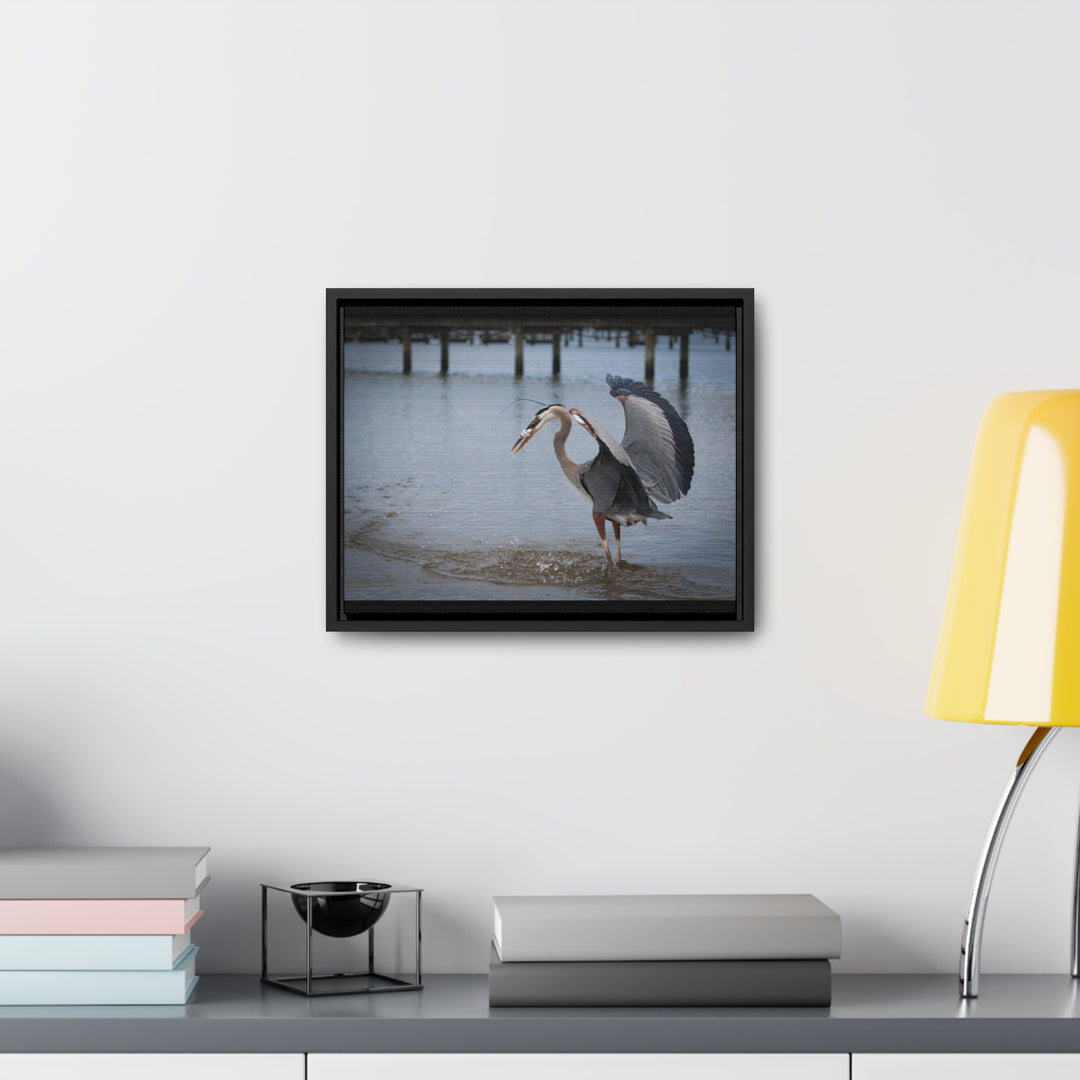 Great Blue Heron - Gallery Canvas Wraps, Horizontal Frame