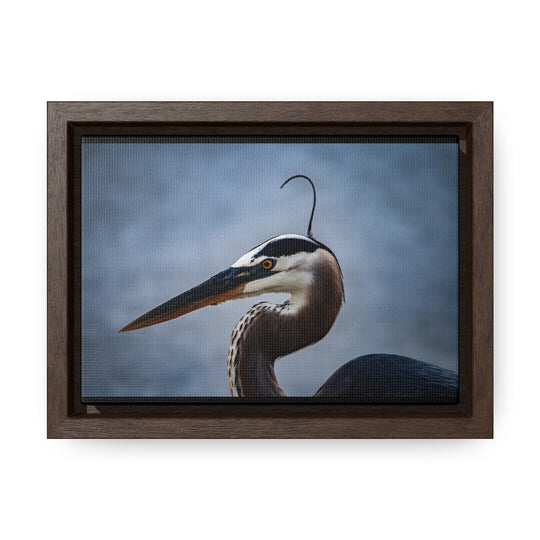 Great Blue Heron - Gallery Canvas Wraps, Horizontal Frame