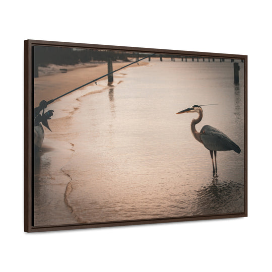 Great Blue Heron - Gallery Canvas Wraps, Horizontal Frame