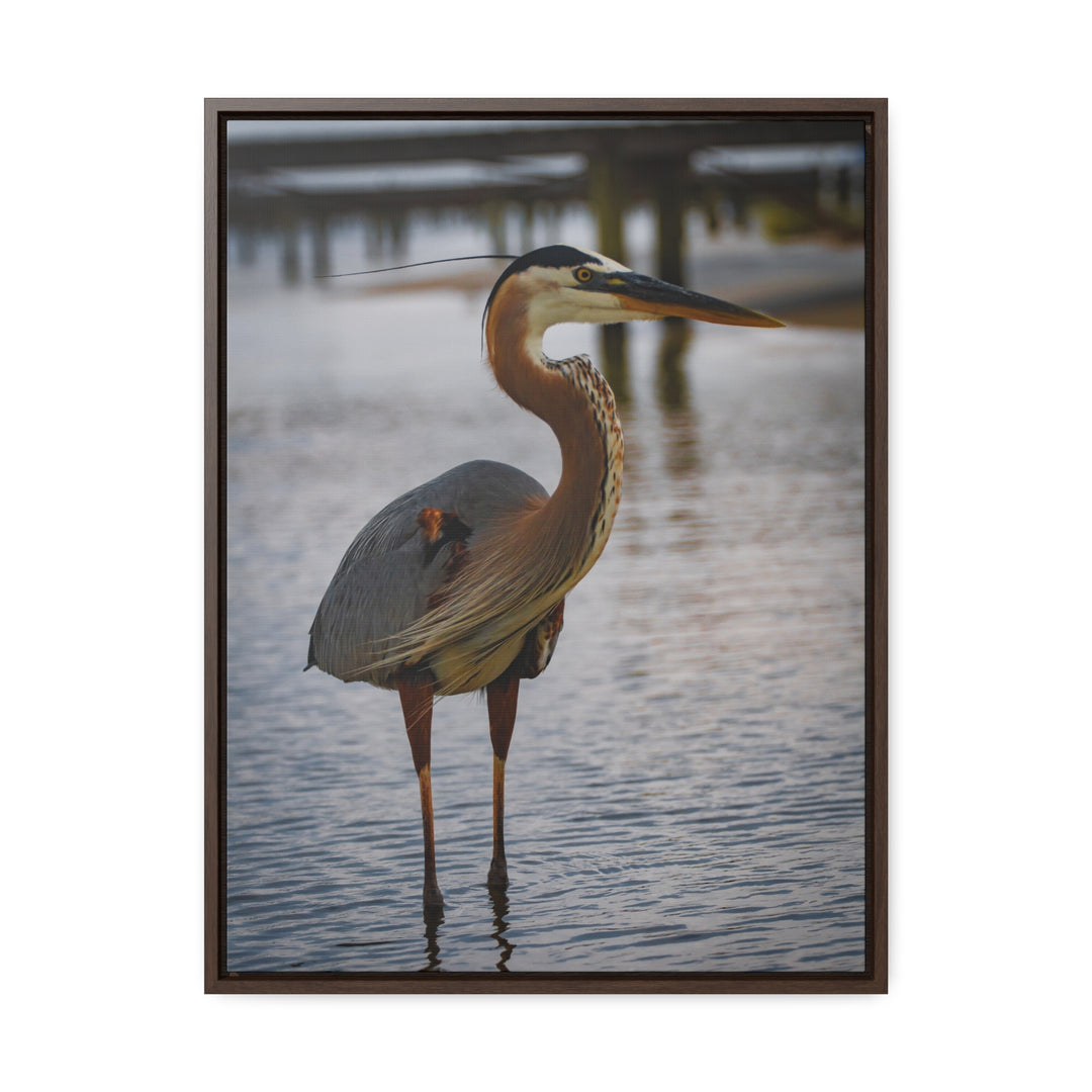 Great Blue Heron - Gallery Canvas Wraps, Vertical Frame