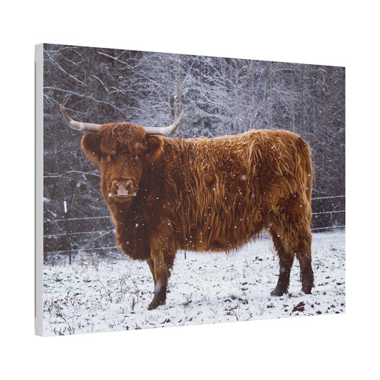 The Ruby Collection - Highland on Classic Stretched Canvas