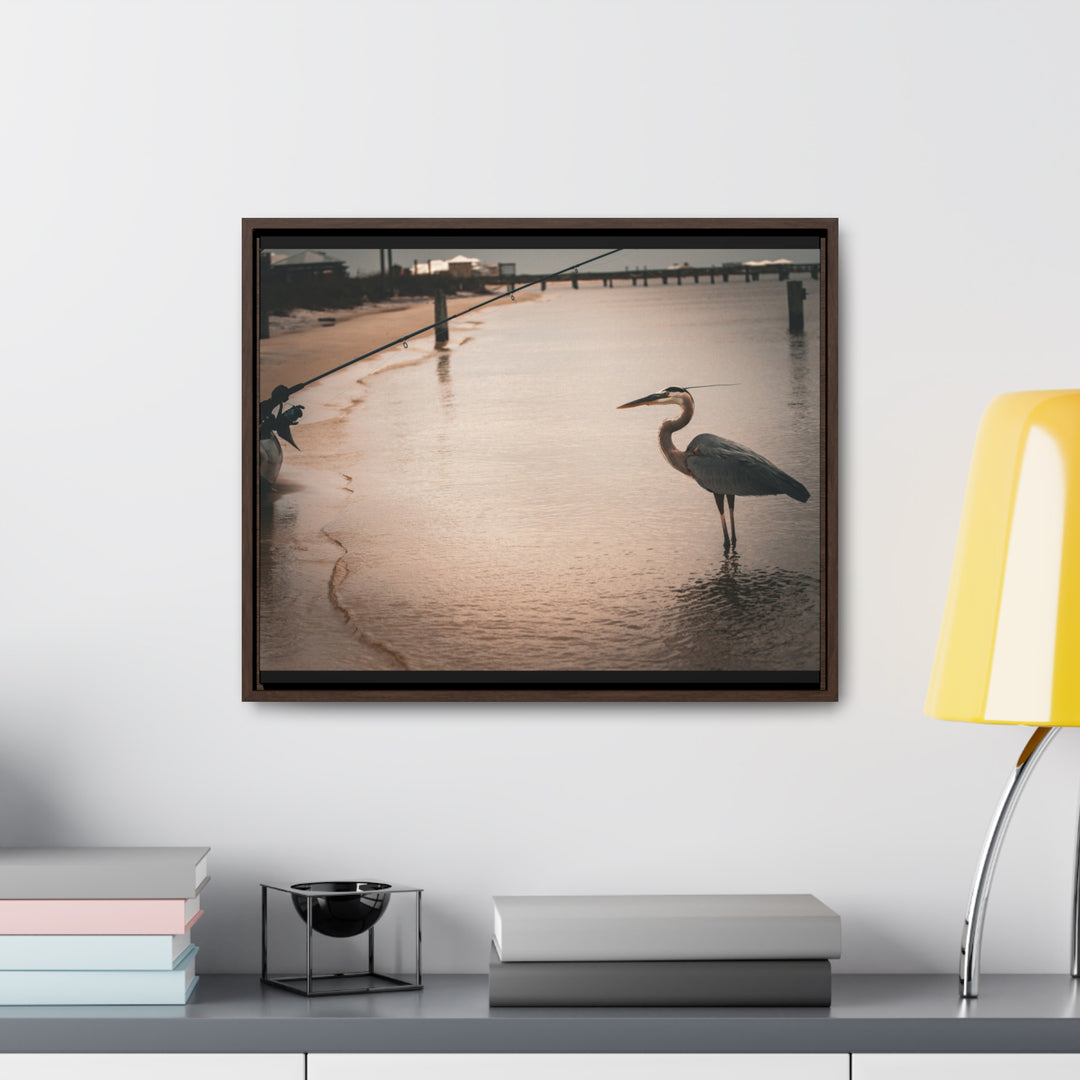 Great Blue Heron - Gallery Canvas Wraps, Horizontal Frame