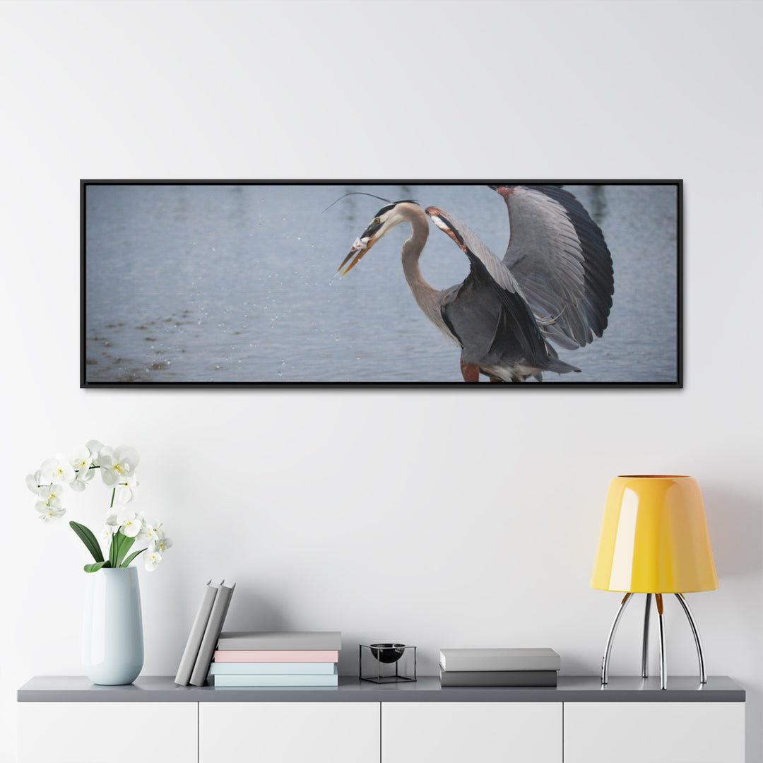 Great Blue Heron - Gallery Canvas Wraps, Horizontal Frame