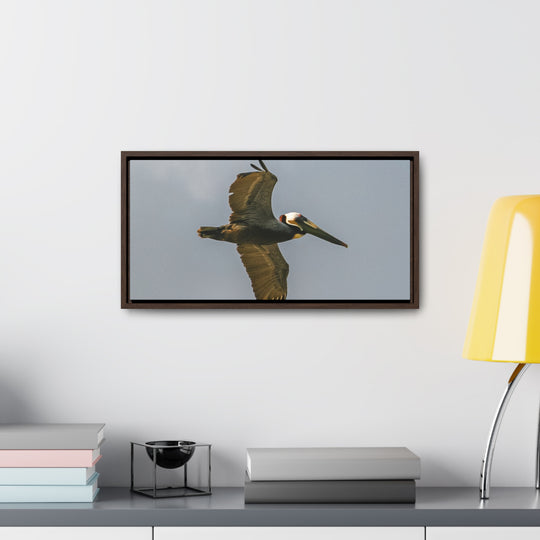 Pelican Flight - Gallery Canvas Wraps, Horizontal Frame