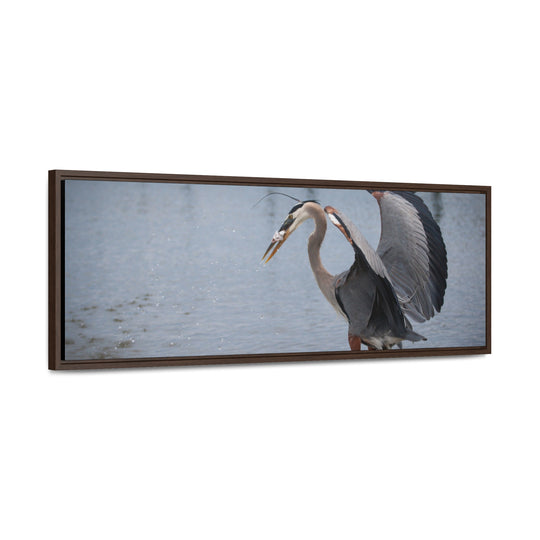 Great Blue Heron - Gallery Canvas Wraps, Horizontal Frame