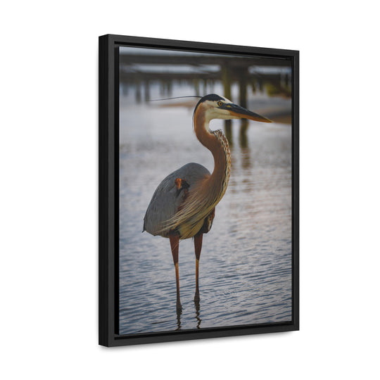 Great Blue Heron - Gallery Canvas Wraps, Vertical Frame