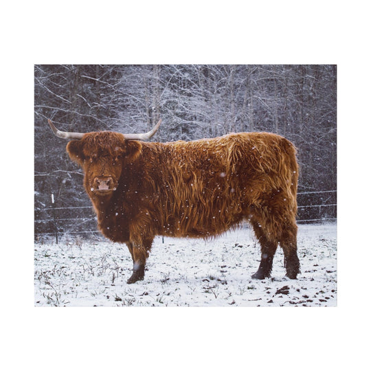 The Ruby Collection - Highland on Classic Stretched Canvas