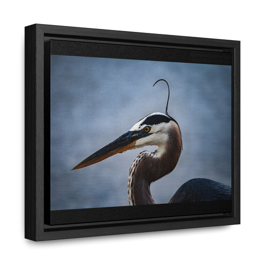 Great Blue Heron - Gallery Canvas Wraps, Horizontal Frame