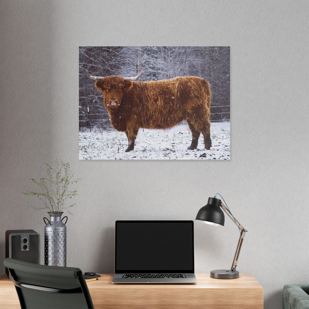 The Ruby Collection - Highland on Classic Stretched Canvas