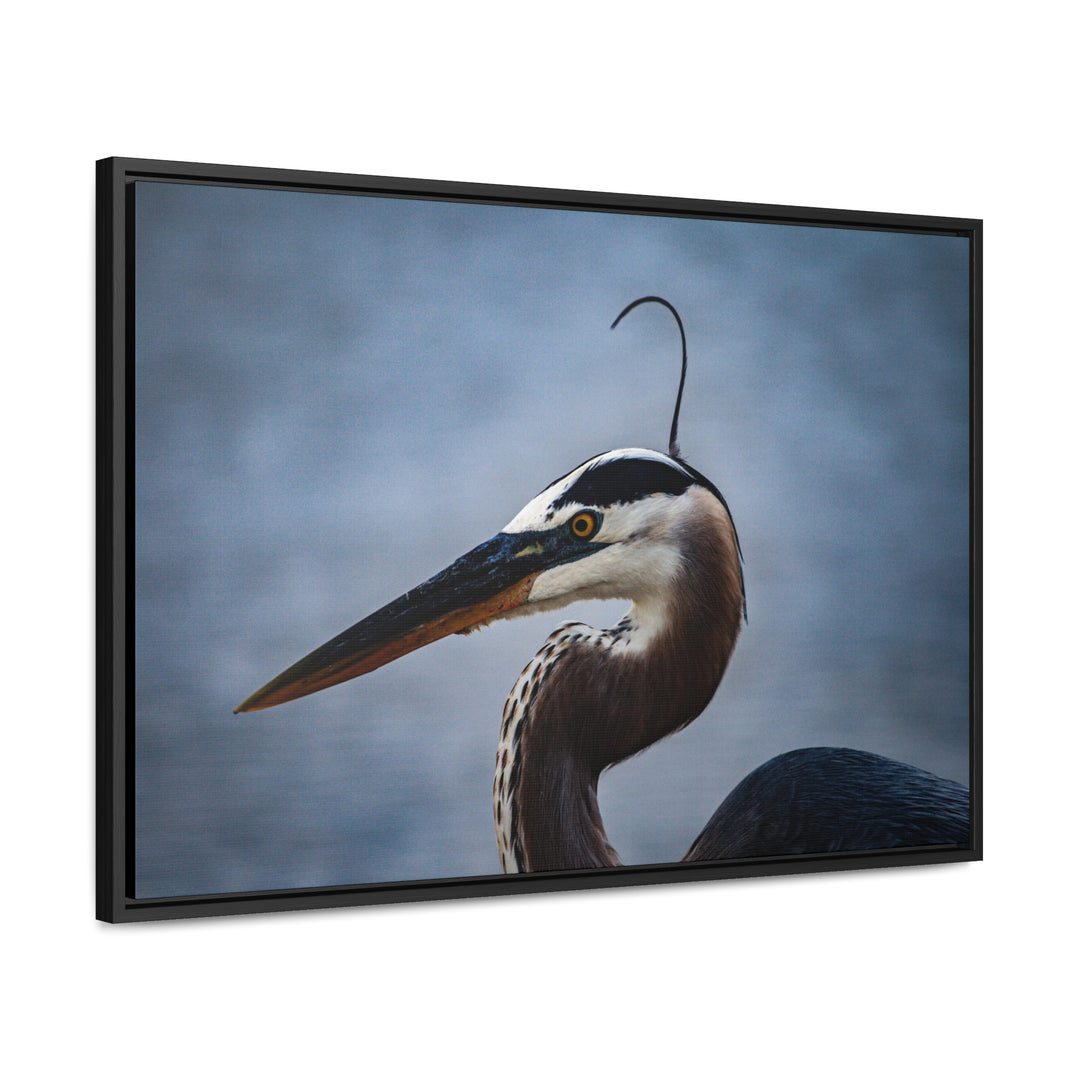 Great Blue Heron - Gallery Canvas Wraps, Horizontal Frame