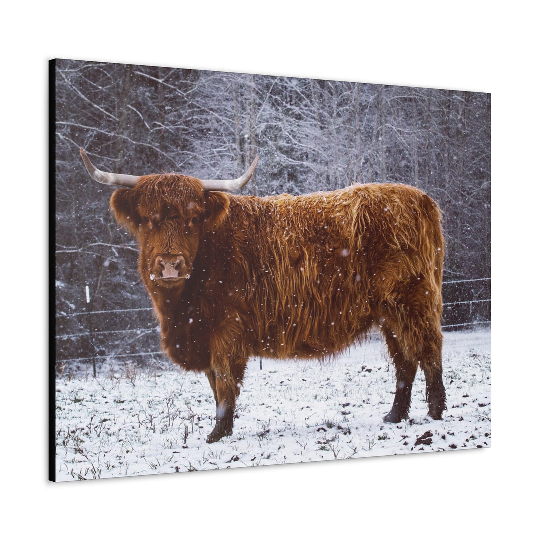 The Ruby Collection - Canvas Gallery Wraps