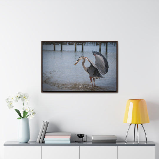 Great Blue Heron - Gallery Canvas Wraps, Horizontal Frame