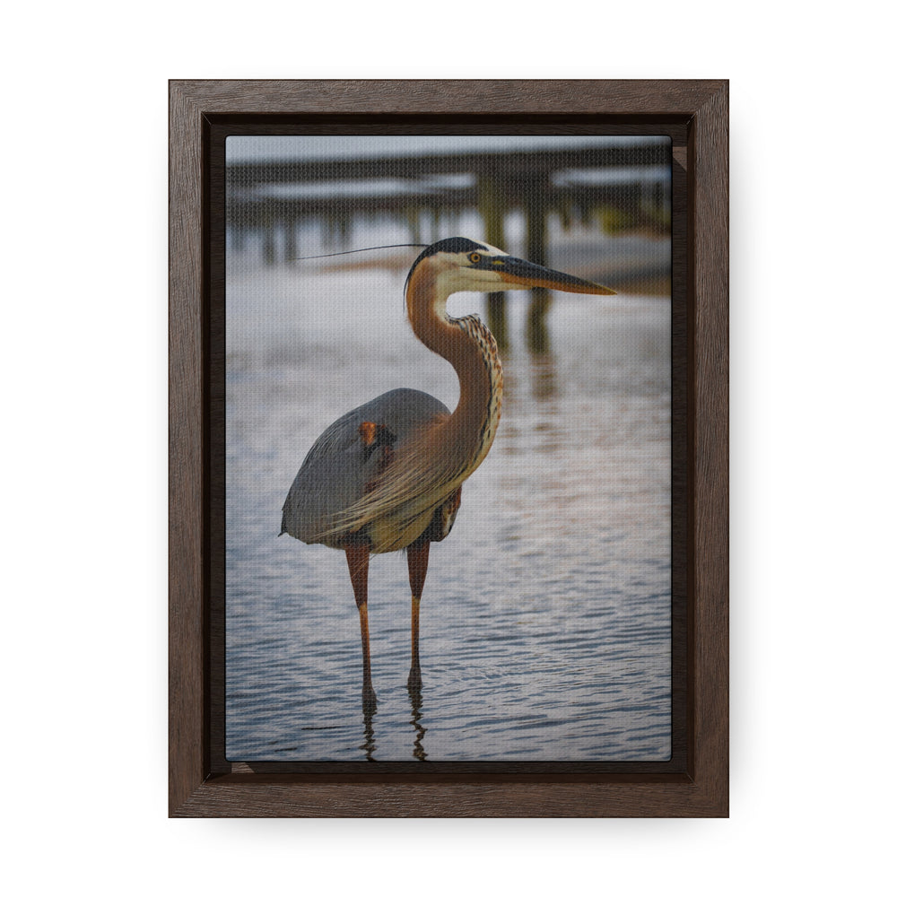 Great Blue Heron - Gallery Canvas Wraps, Vertical Frame