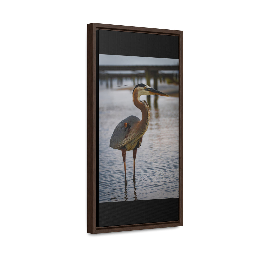 Great Blue Heron - Gallery Canvas Wraps, Vertical Frame