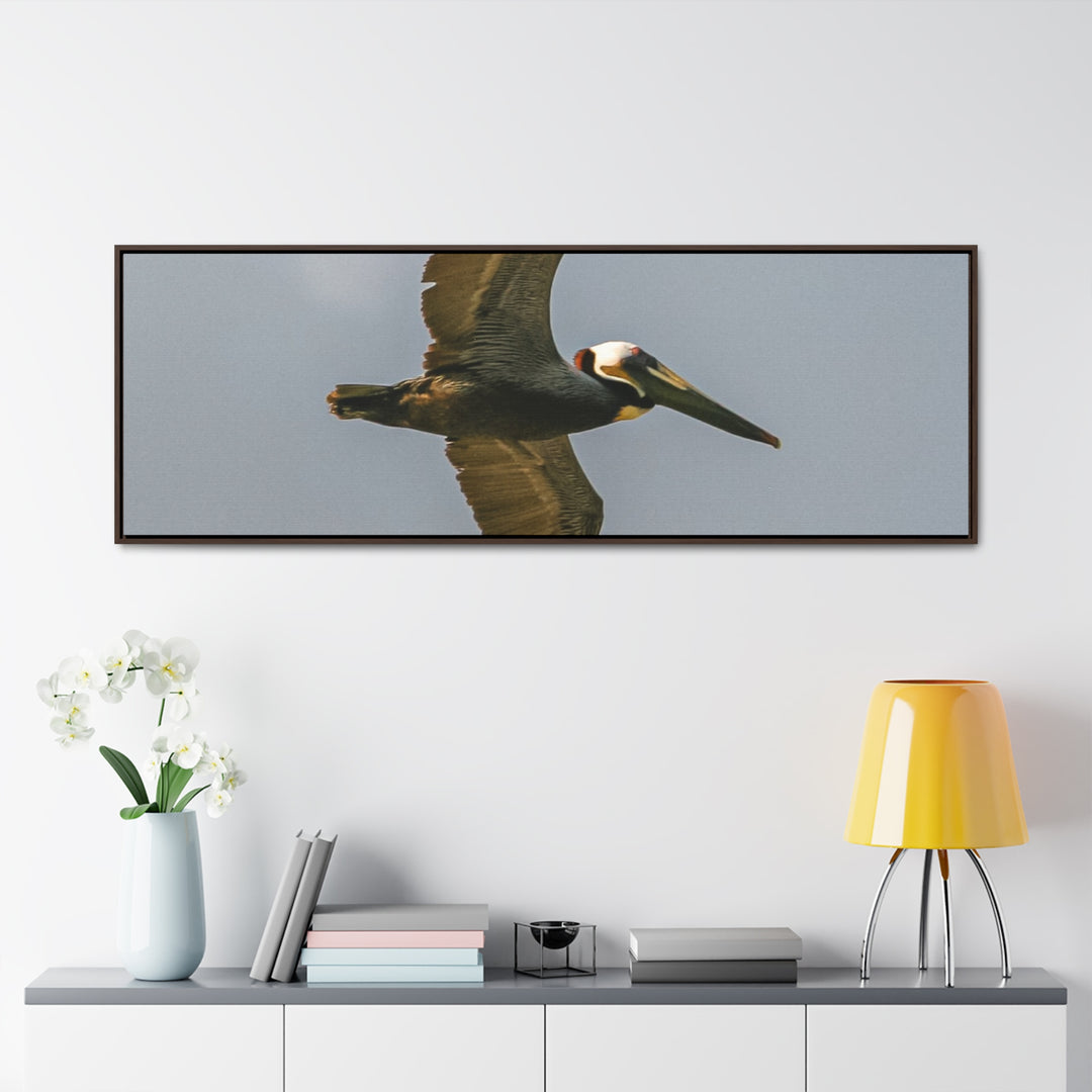 Pelican Flight - Gallery Canvas Wraps, Horizontal Frame