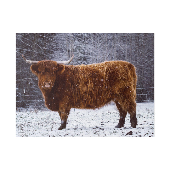 The Ruby Collection - Highland on Classic Stretched Canvas