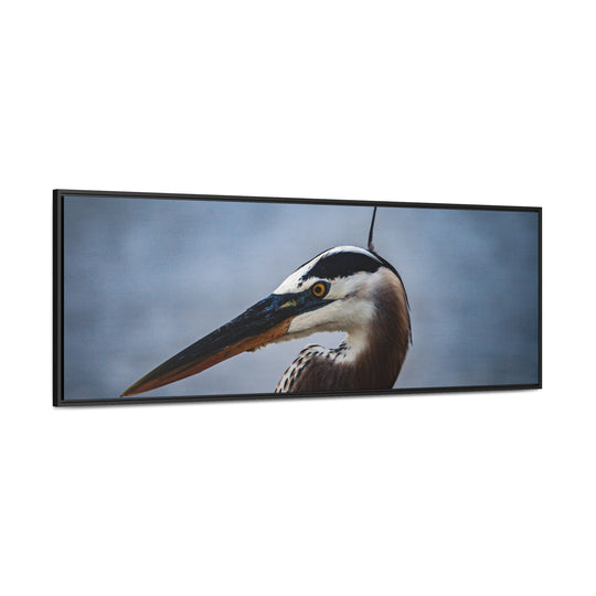 Great Blue Heron - Gallery Canvas Wraps, Horizontal Frame