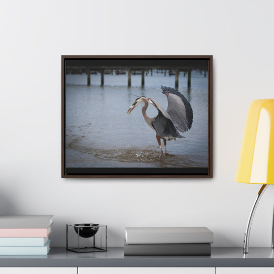 Great Blue Heron - Gallery Canvas Wraps, Horizontal Frame