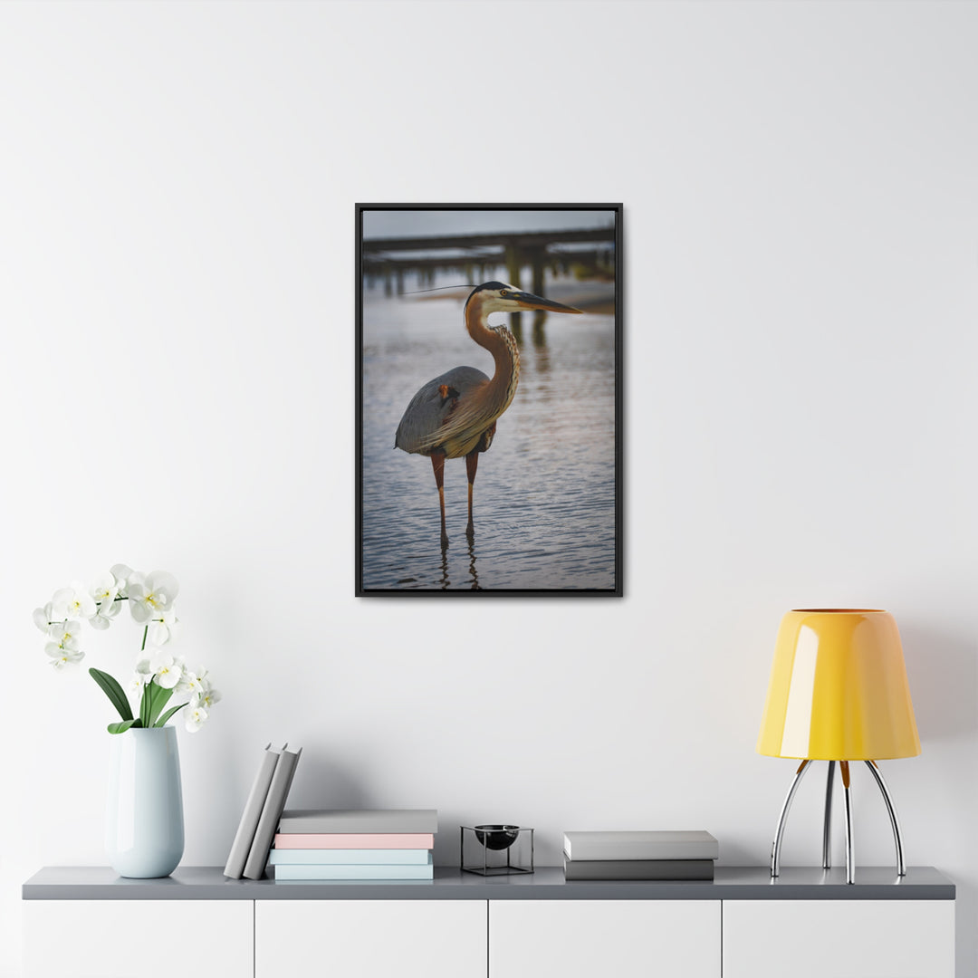 Great Blue Heron - Gallery Canvas Wraps, Vertical Frame