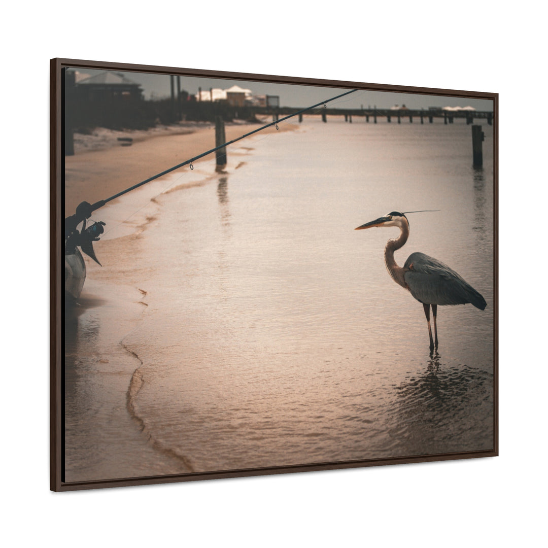 Great Blue Heron - Gallery Canvas Wraps, Horizontal Frame