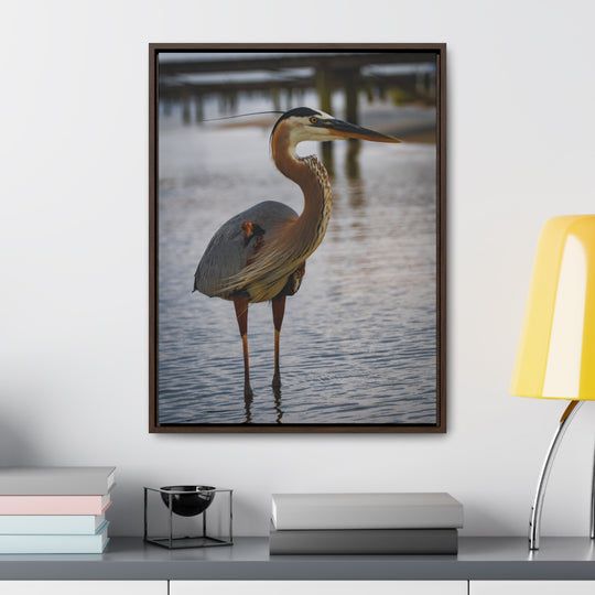 Great Blue Heron - Gallery Canvas Wraps, Vertical Frame