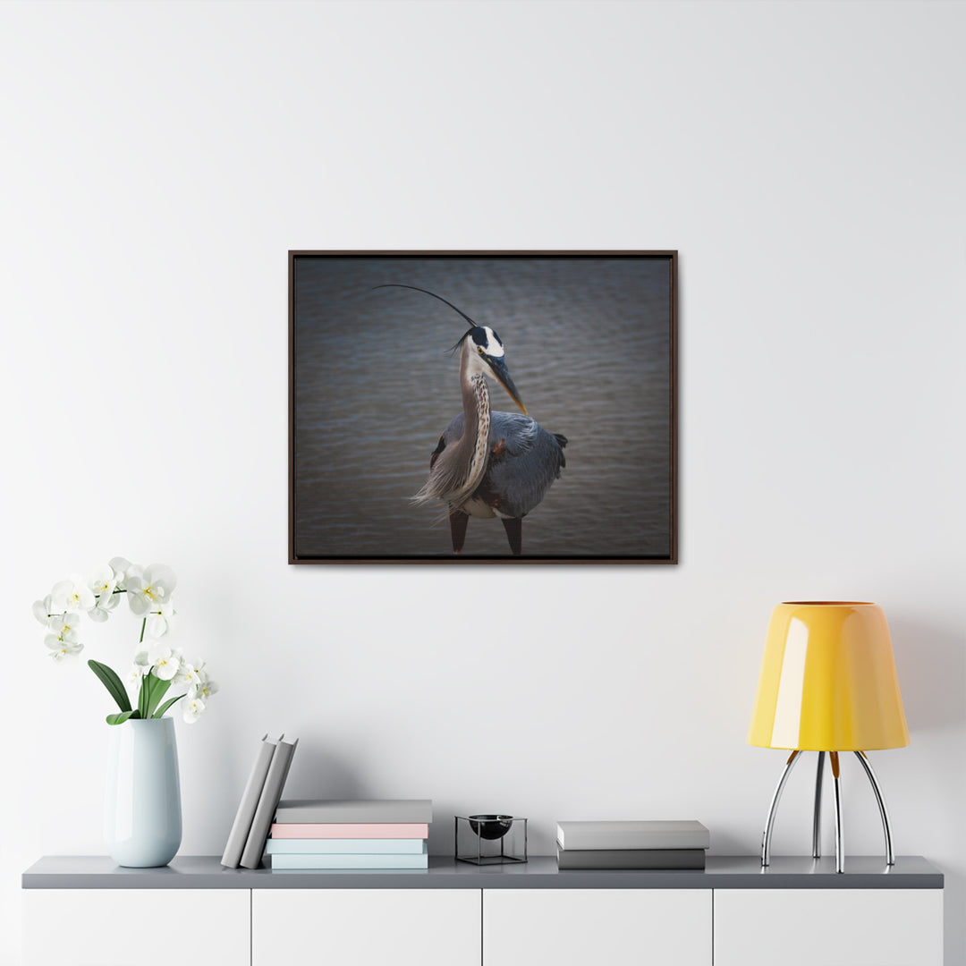 Great Blue Heron - Gallery Canvas Wraps, Horizontal Frame