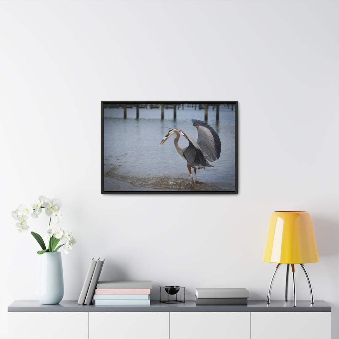 Great Blue Heron - Gallery Canvas Wraps, Horizontal Frame