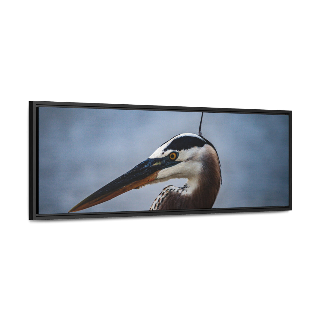 Great Blue Heron - Gallery Canvas Wraps, Horizontal Frame