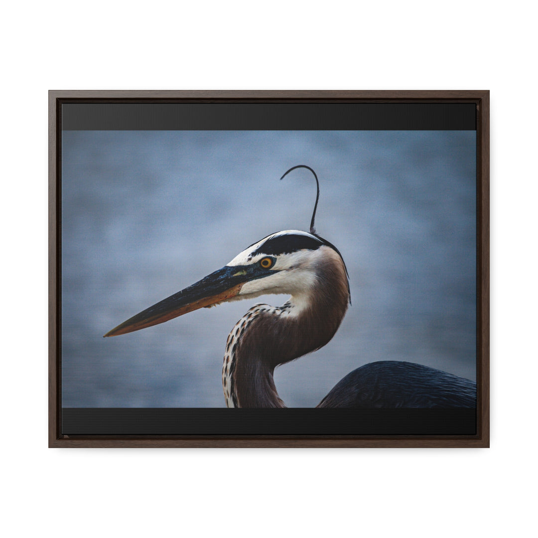 Great Blue Heron - Gallery Canvas Wraps, Horizontal Frame