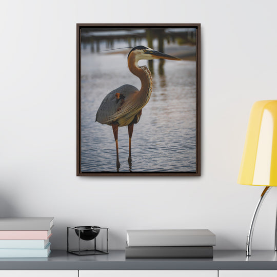 Great Blue Heron - Gallery Canvas Wraps, Vertical Frame